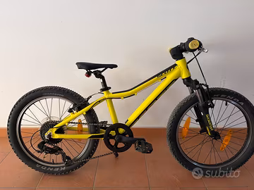 Scott scale 20
