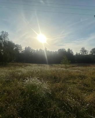 Terreno di 6555 m² a Nibionno