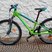 MTB Cube Acid 240