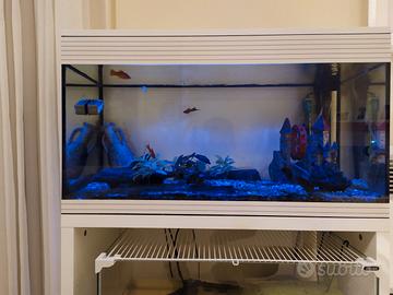 Askoll  acquario XL con Mobile