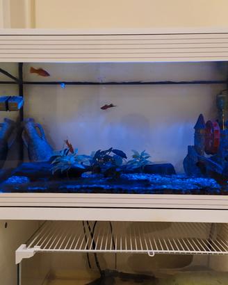 Askoll  acquario XL con Mobile
