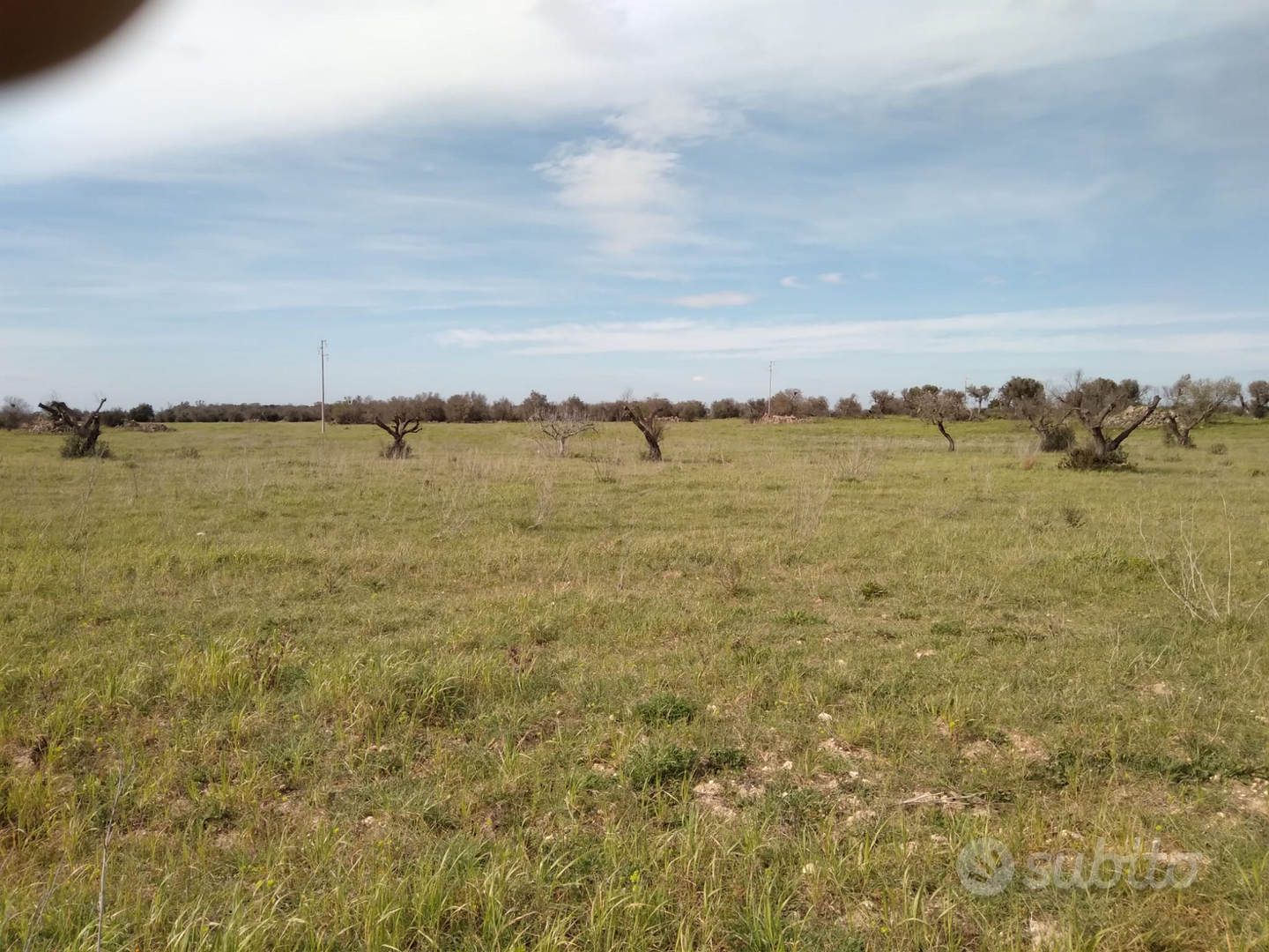 Terreni agricoli - Vista 4