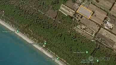Terreno di 2,2 ettari vicino al mare