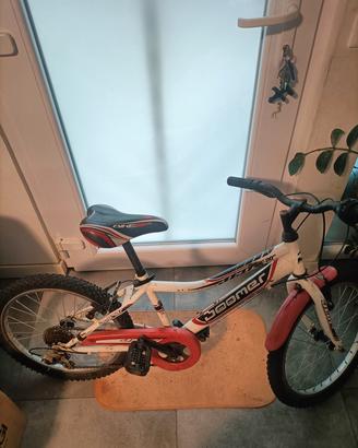 Bici bimbo 20"