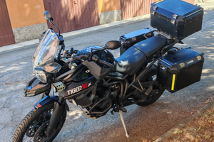 Triumph Tiger 800 XcX 2017