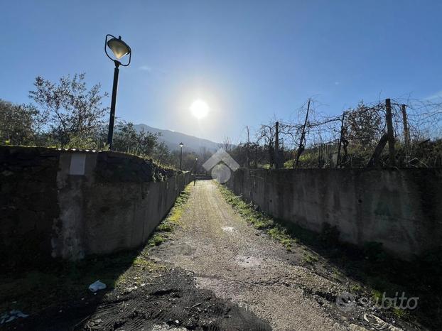 TERRENO A POLLENA TROCCHIA