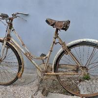 Bici da donna freni a stecca 2059
