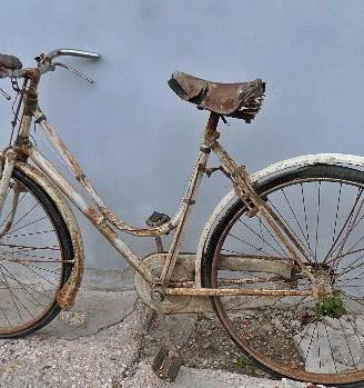 Bici da donna freni a stecca 2059