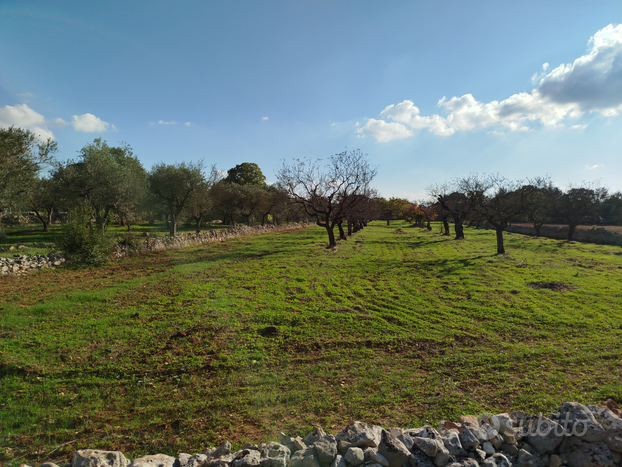 Terreno rustico facile da gestire