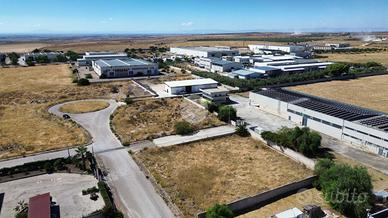 TER. AGRICOLO A MANFREDONIA