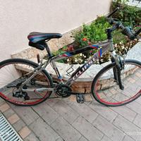 Bicicletta mtb