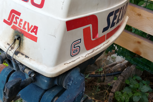 Selva 6cv per ricambi,piede bloccato e libretto sm
