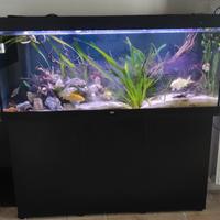 acqurio juwel 450 lt