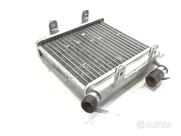 APRILIA SR STREET LC 50 RADIATORE 2004 2007 TEA00