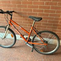 Bici mountain bike bambin*