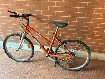 Bici mountain bike bambin*