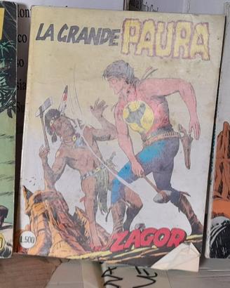 RACCOLTA  FUMETTI  ZAGOR