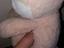 Immagine 4