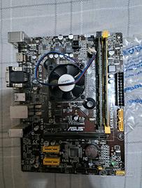 bundle Asus AM1M-A + Athlon 5350+Ram 8gb 