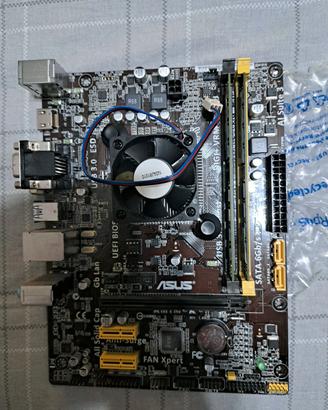 bundle Asus AM1M-A + Athlon 5350+Ram 8gb 