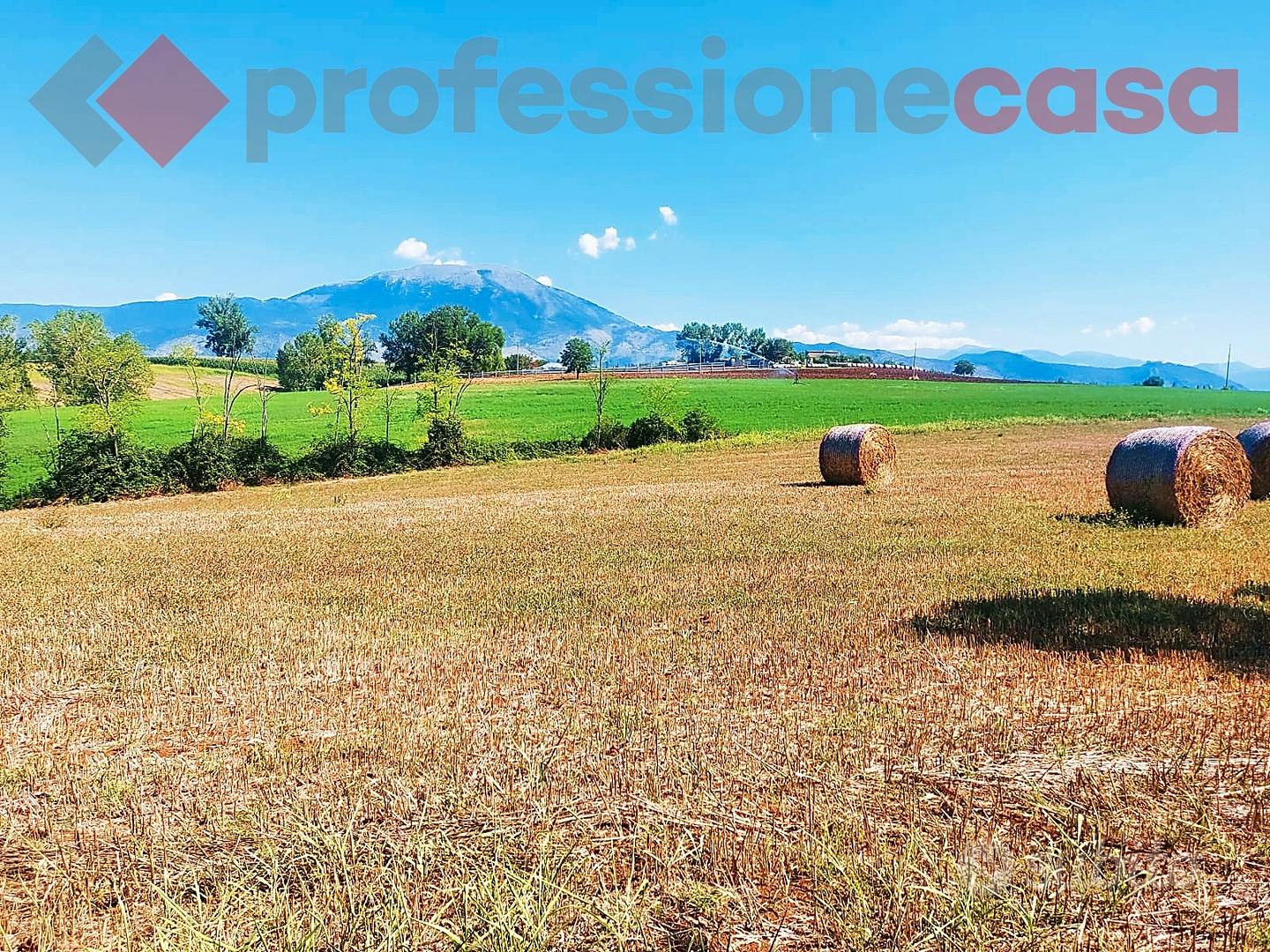 Terreno agricolo - Vista 4
