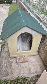 Cuccia cane in cemento