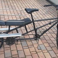 bicicletta long tail cargo