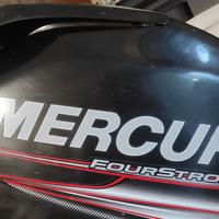 Ricambi Mercury 40 cv EFI 4 tempi
