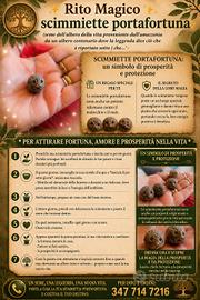 SCIMIETTE PORTAFORTUNA SEME DELL' ALBERO DELLA VI 