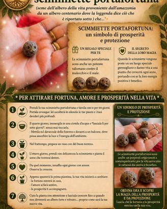 SCIMIETTE PORTAFORTUNA SEME DELL' ALBERO DELLA VI 