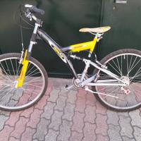 Bicicletta Zephyr