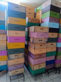 MELARI APICOLTURA USATI