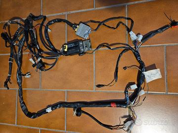 Impianto elettrico cablaggio Scarabeo 50 4t.
