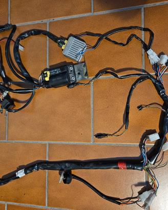 Impianto elettrico cablaggio Scarabeo 50 4t.