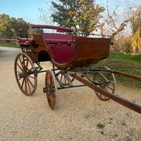 Carrozza per Cavalli