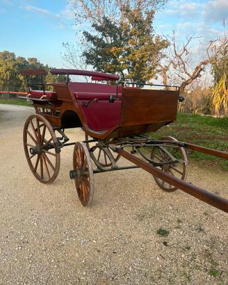 Carrozza per Cavalli