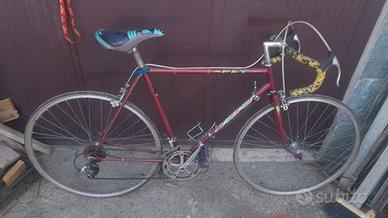 lotto di biciclette