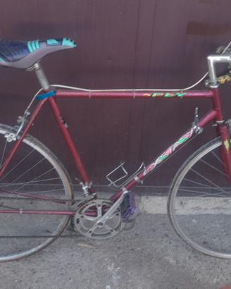 lotto di biciclette