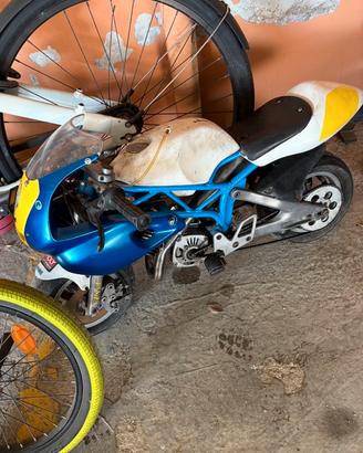 Minimoto Polini