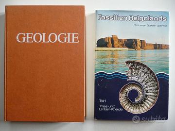 Geologie 6 Buch Bücher auf Deutsch Fossilien stock