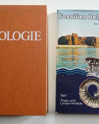 Geologie 6 Buch Bücher auf Deutsch Fossilien stock