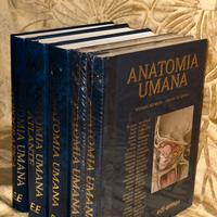 Set completo Anastasi anatomia