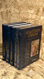 Set completo Anastasi anatomia
