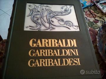 volume su garibaldi