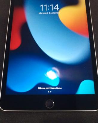 IPad Mini 4