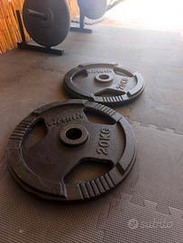 Coppia dischi 20kg
