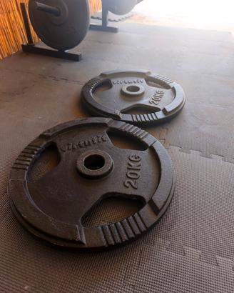 Coppia dischi 20kg