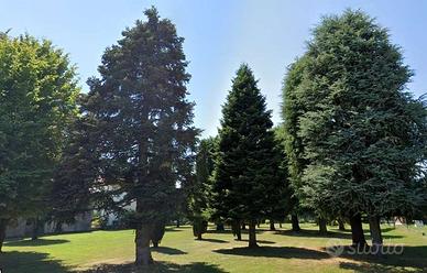 Terreno Edificabile a Mogliano Veneto