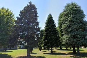 Terreno Edificabile a Mogliano Veneto