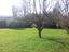 Immagine 11